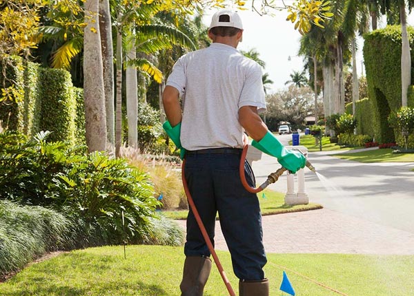 About York Haven PA Pest Control Pros